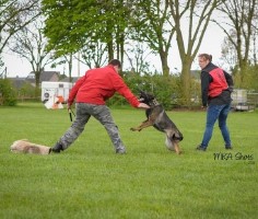 Consignatie en training