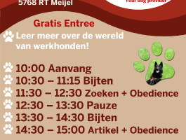 Voorlopige Programma open dag