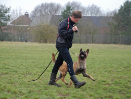 Clinic obedience met onze stagiaires 