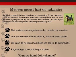 Ook in de vakantie is uw hond welkom in ons pension