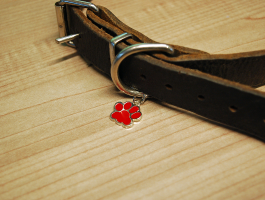 LIKE en win!! Een Dogcentre sleutelhanger