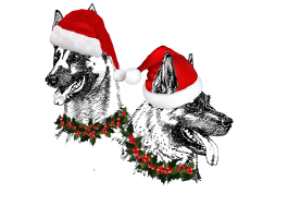 Prettige Feestdagen en een gelukkig nieuwjaar!