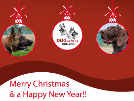 Merry Christmas and a Happy New Year!!!