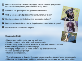 Uw hond en Corona, ons Pension blijft open voor u en uw hond!