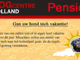 Gun uw hond tóch vakantie