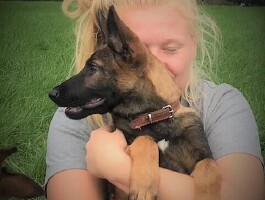 Honden voor particulieren en gezinnen.